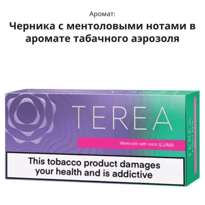 Purple Wave (Индонезия)