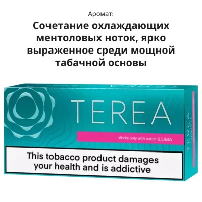 Terea Turquoise (Казахстан)